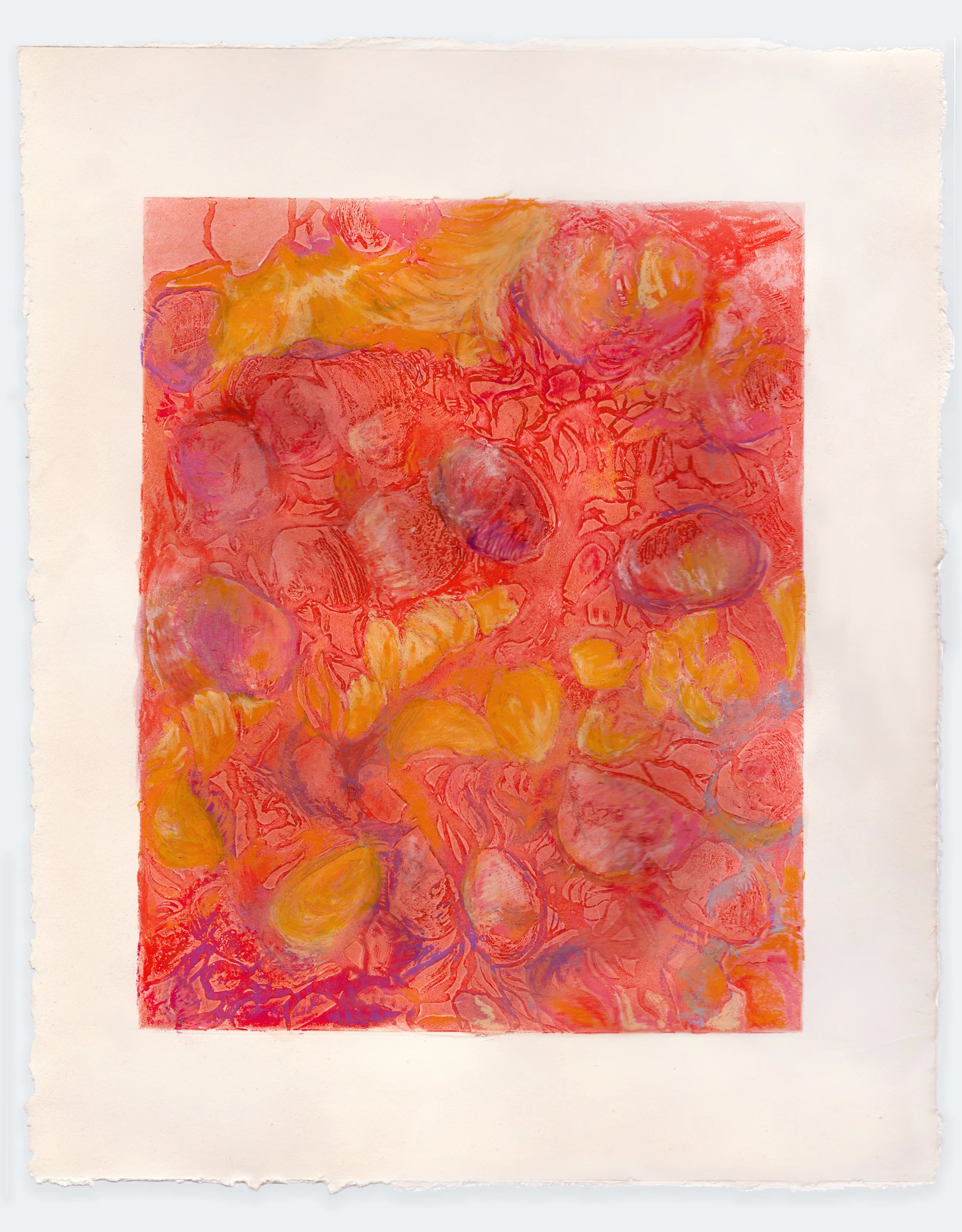 Solar Shells, 2025 | solarplate etching and oil pastel, 1 of 1, 15" x 11"