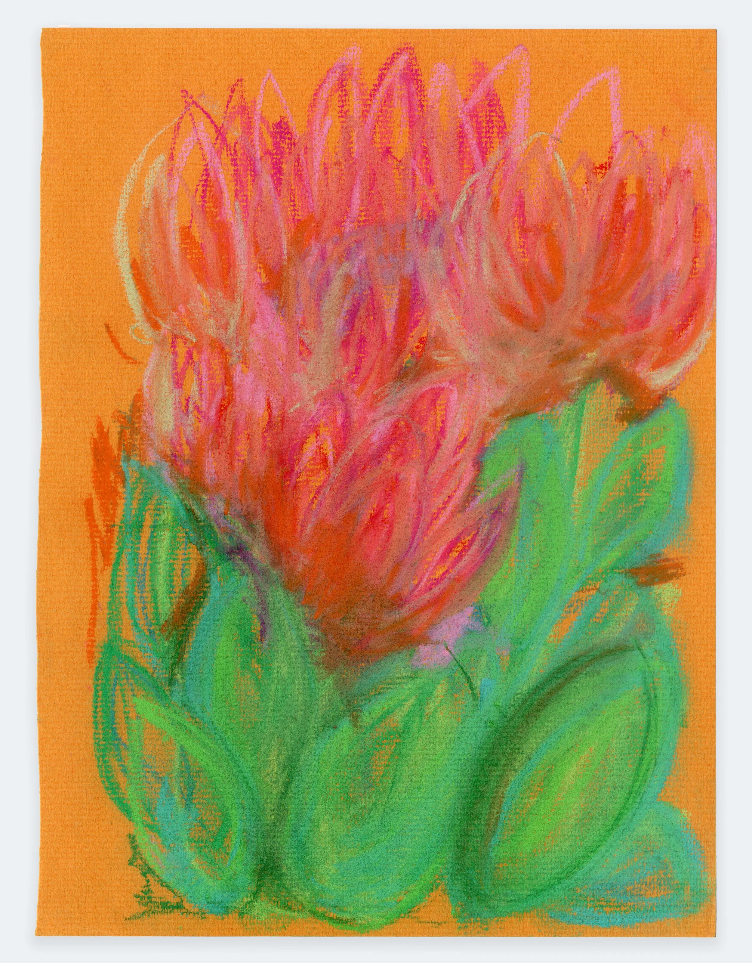 Peony in Yellow 2, 2022 | pastel on paper, 8.25" x 6.25"