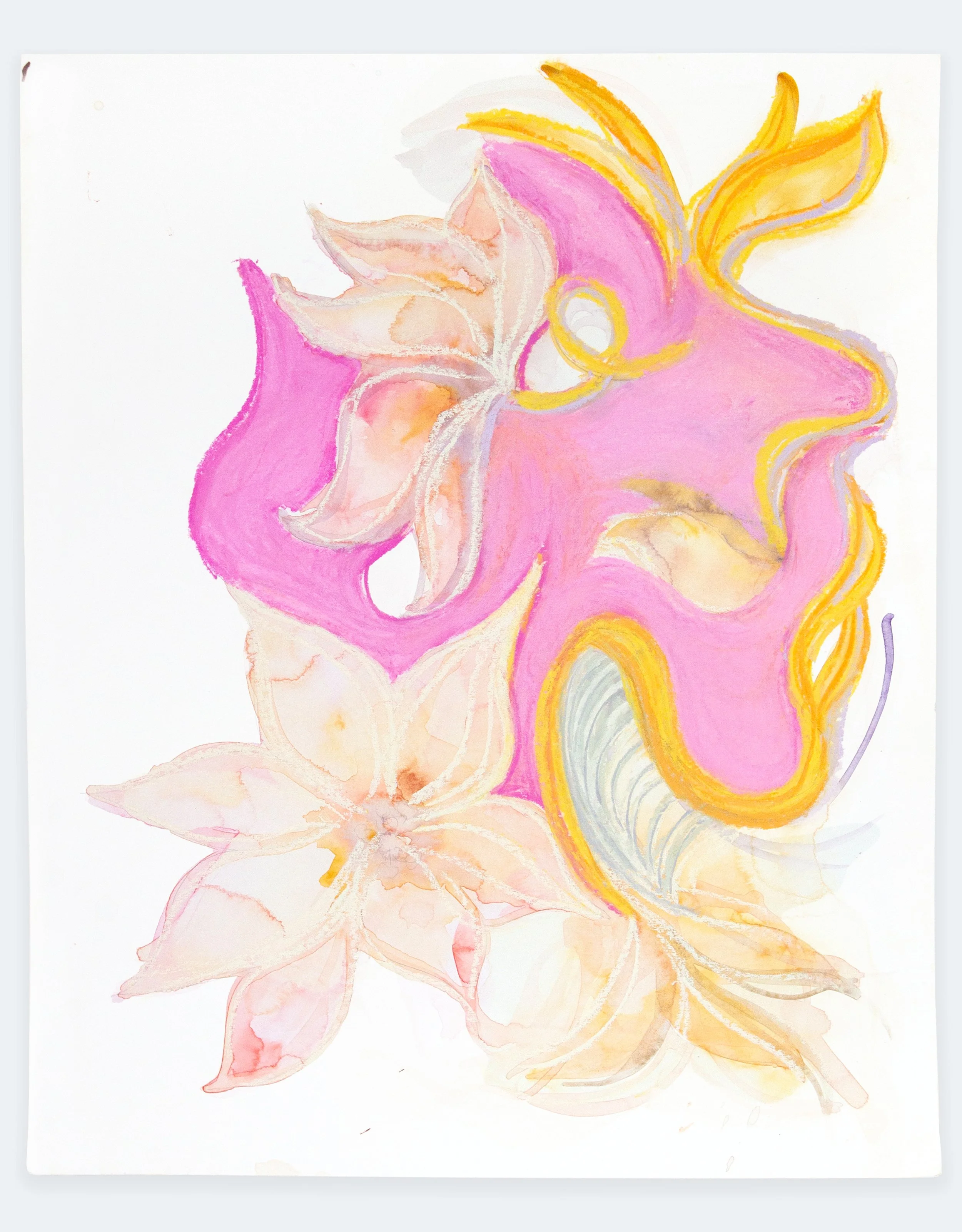 Clematis 2, 2024 | watercolor on paper, 14" x 11"