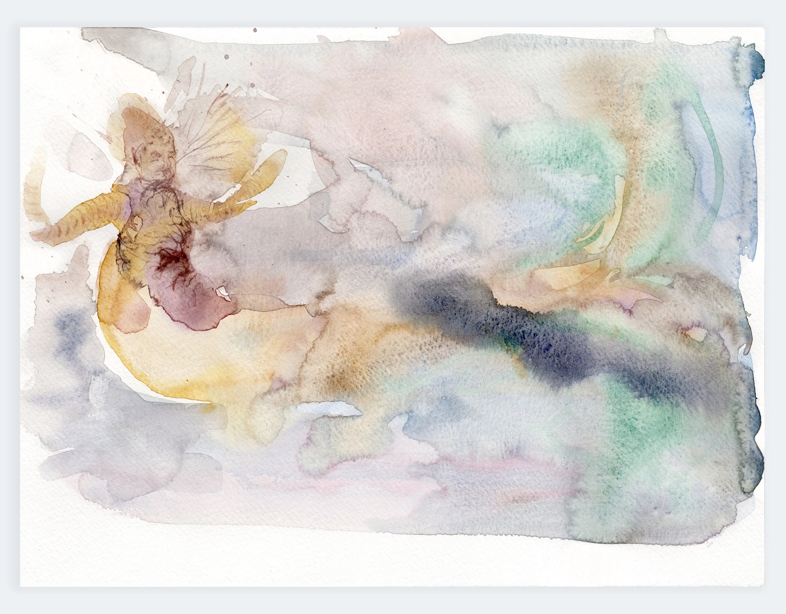 Flutter, 2024 | watercolor on paper, 9" x 12"