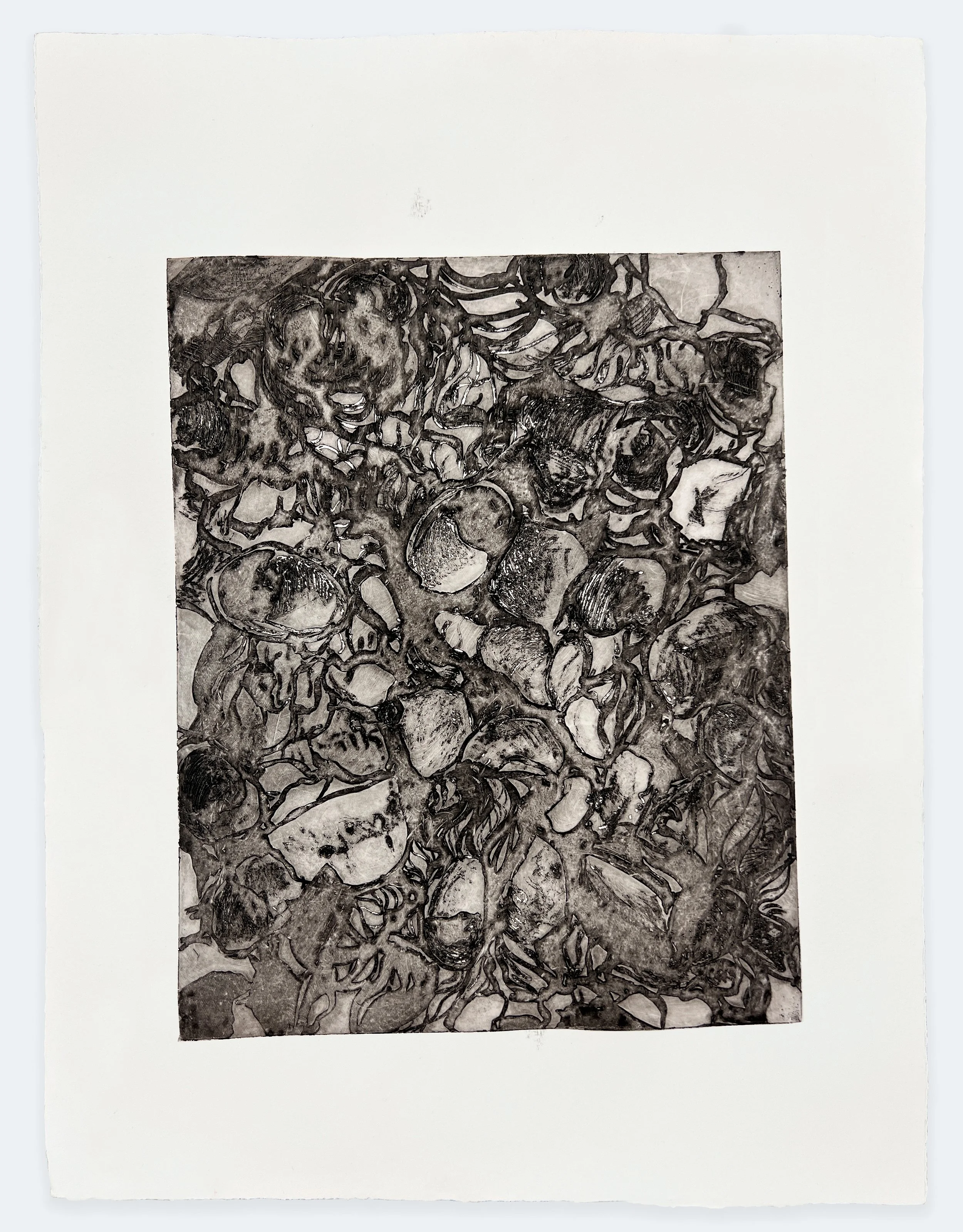 Slippers, 2025 | solarplate etching, 1 of 1, 15" x 11"