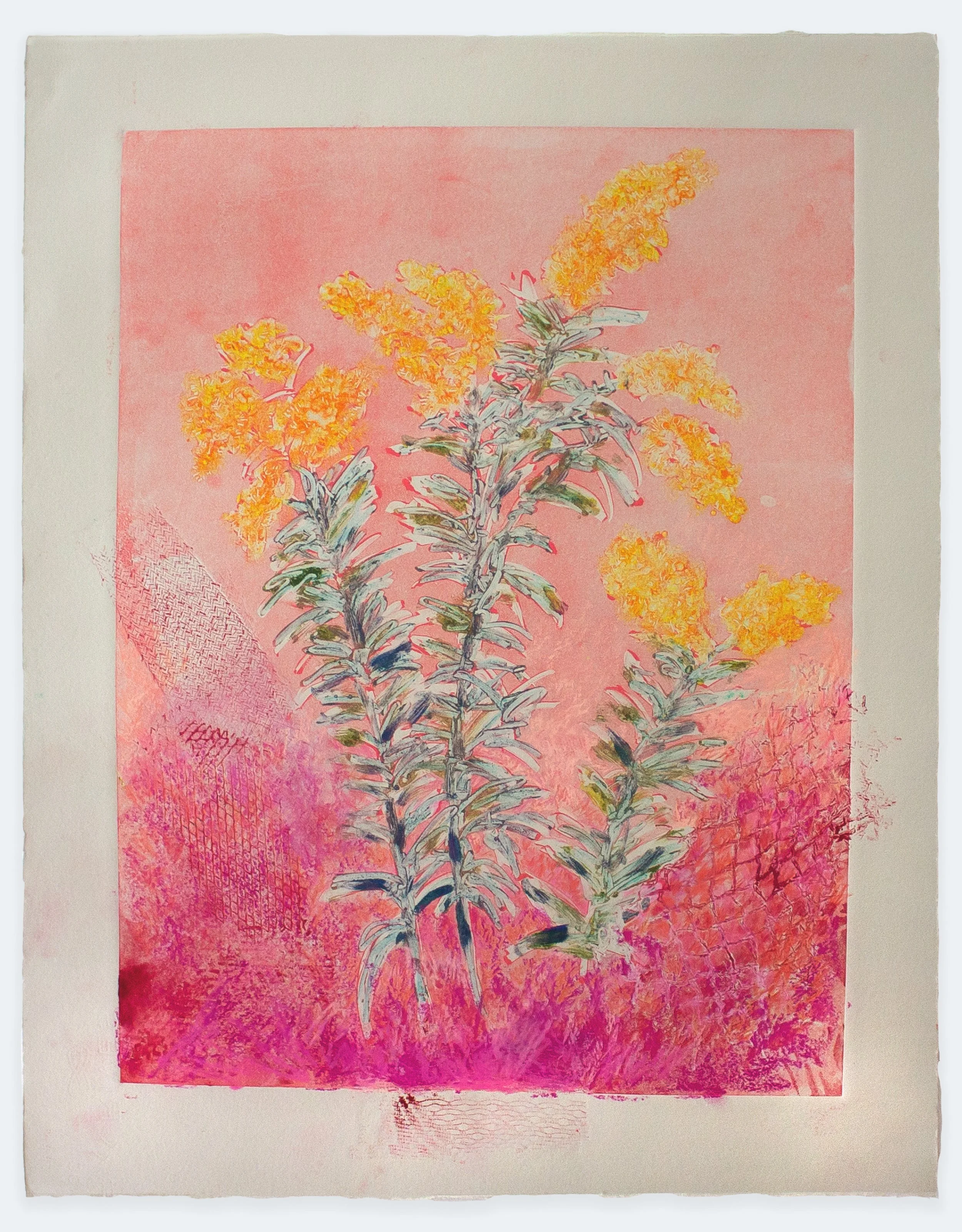 Goldenrod, 2025 | monoprint with colored pencil, 22" x 15"