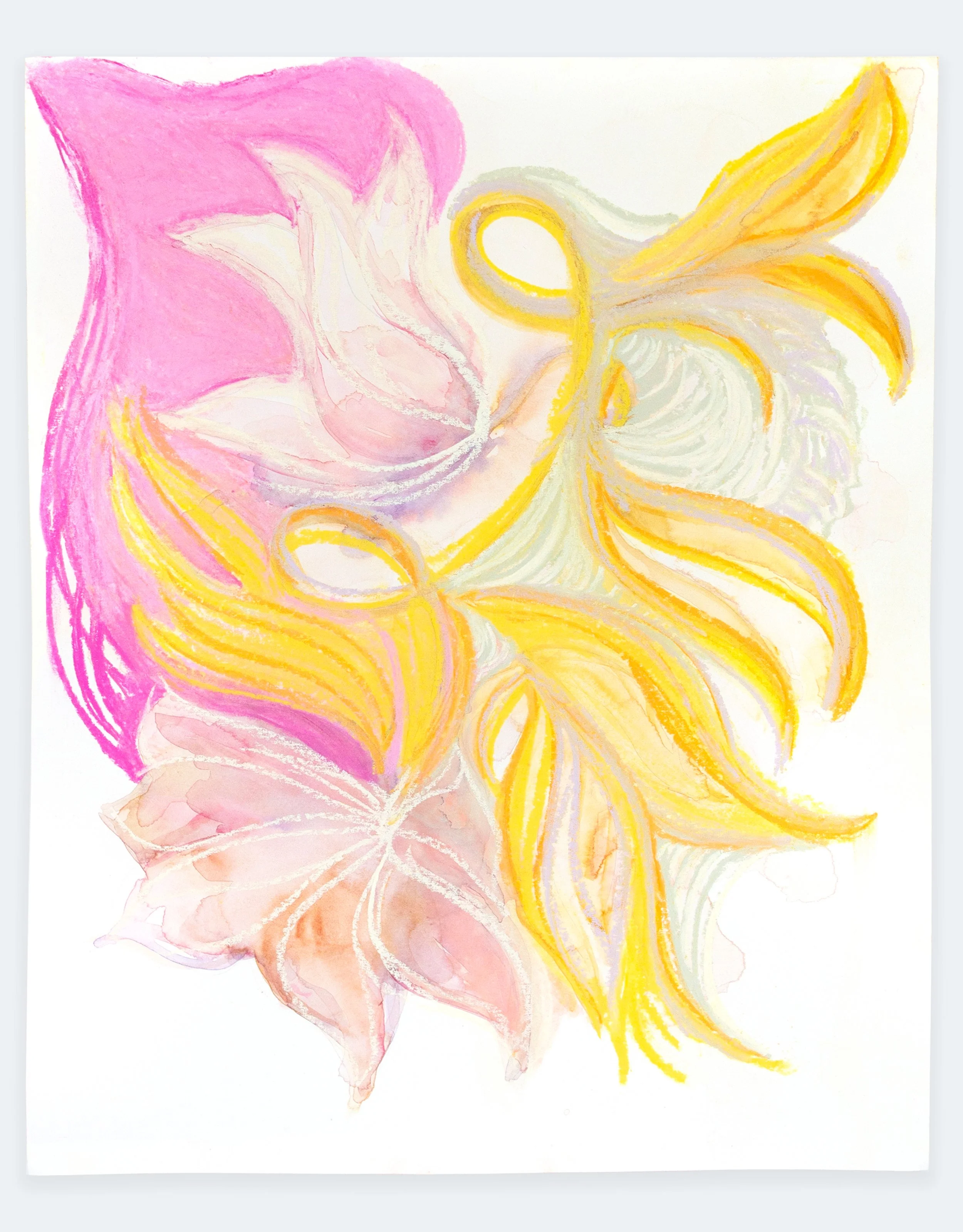 Clematis 1, 2024 | watercolor on paper, 14" x 11"