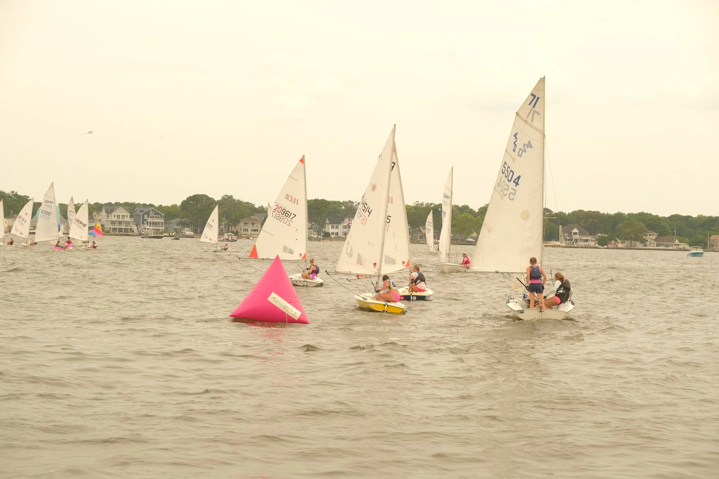 DSCF2439.JPG