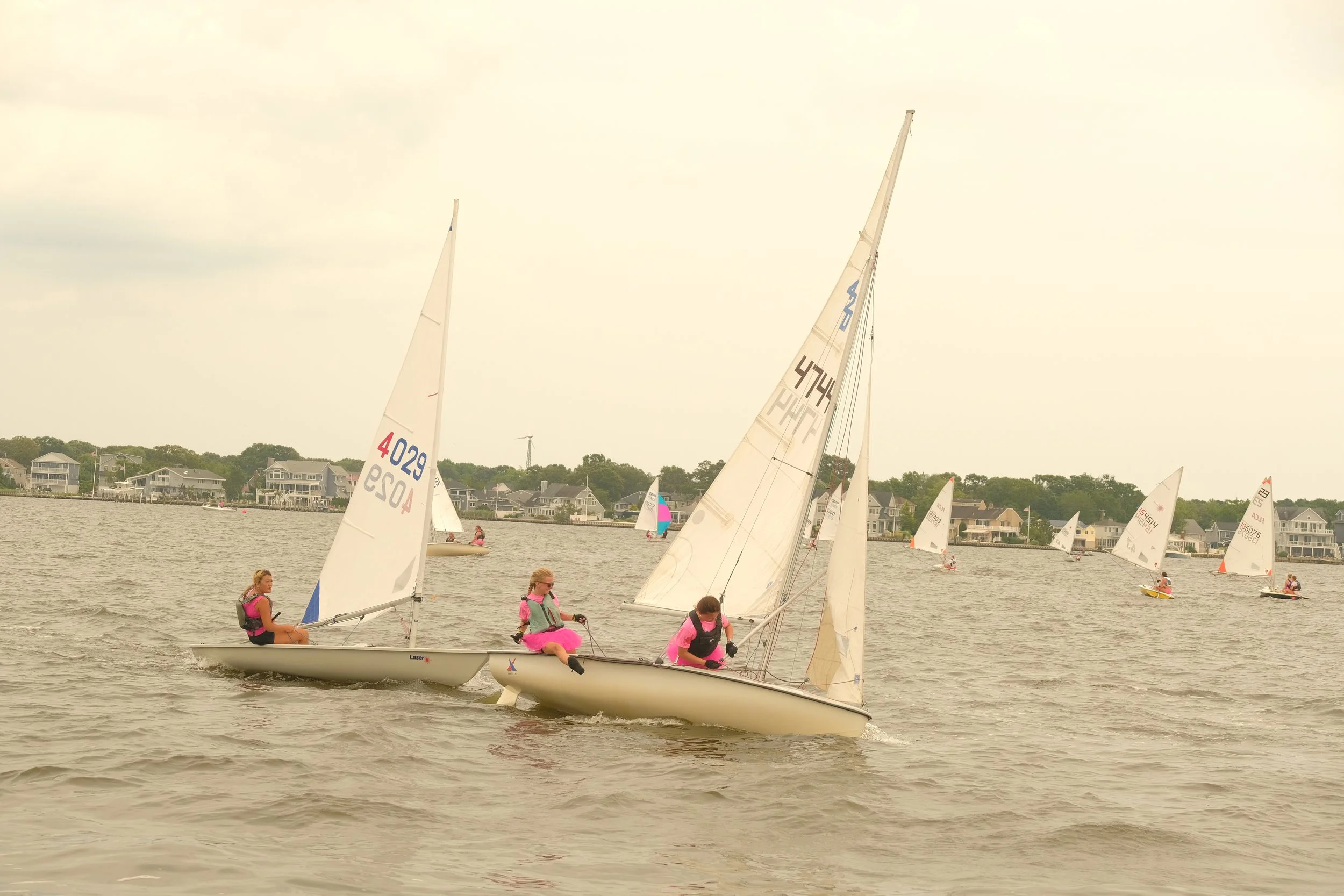 DSCF2443.JPG