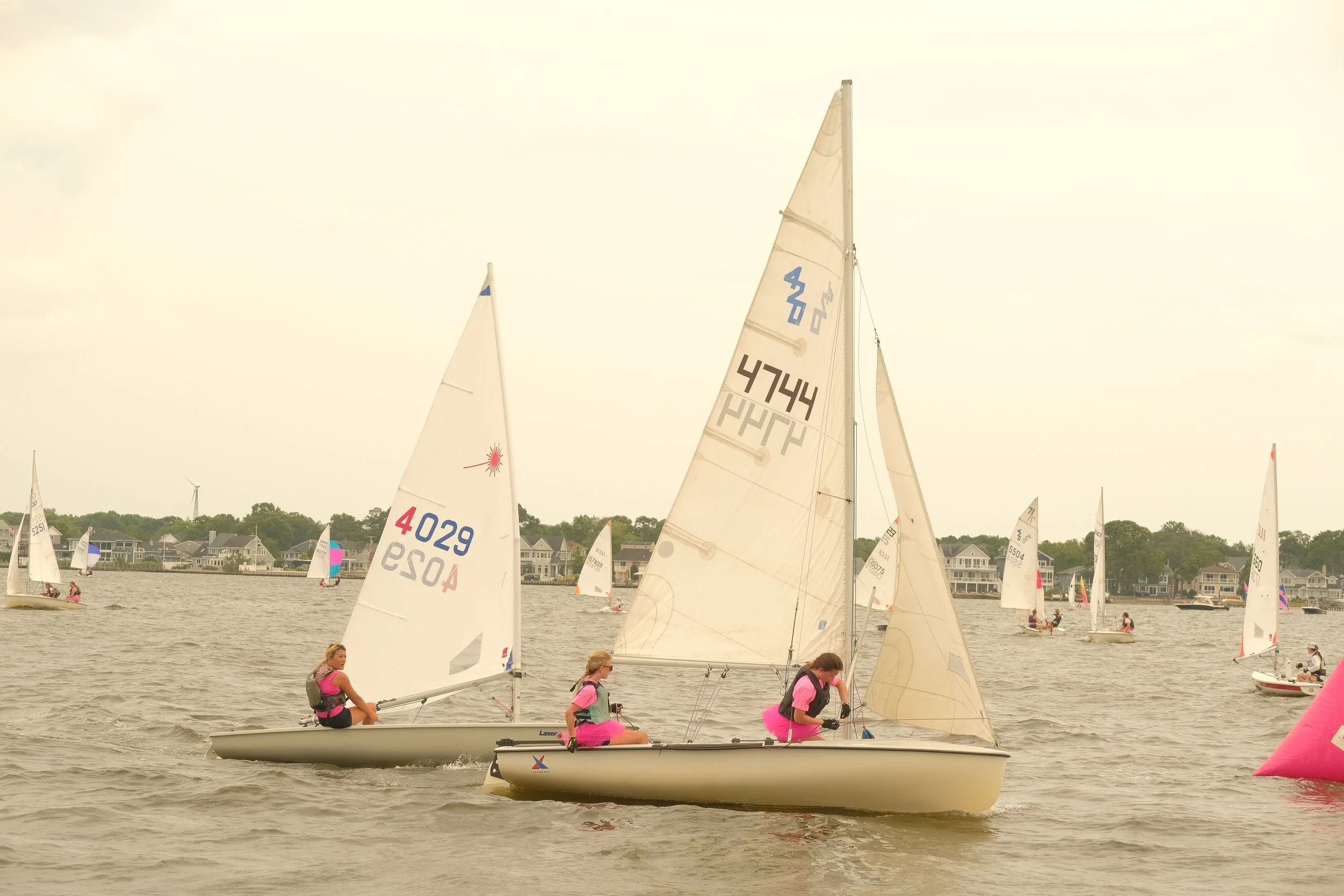 DSCF2444.JPG