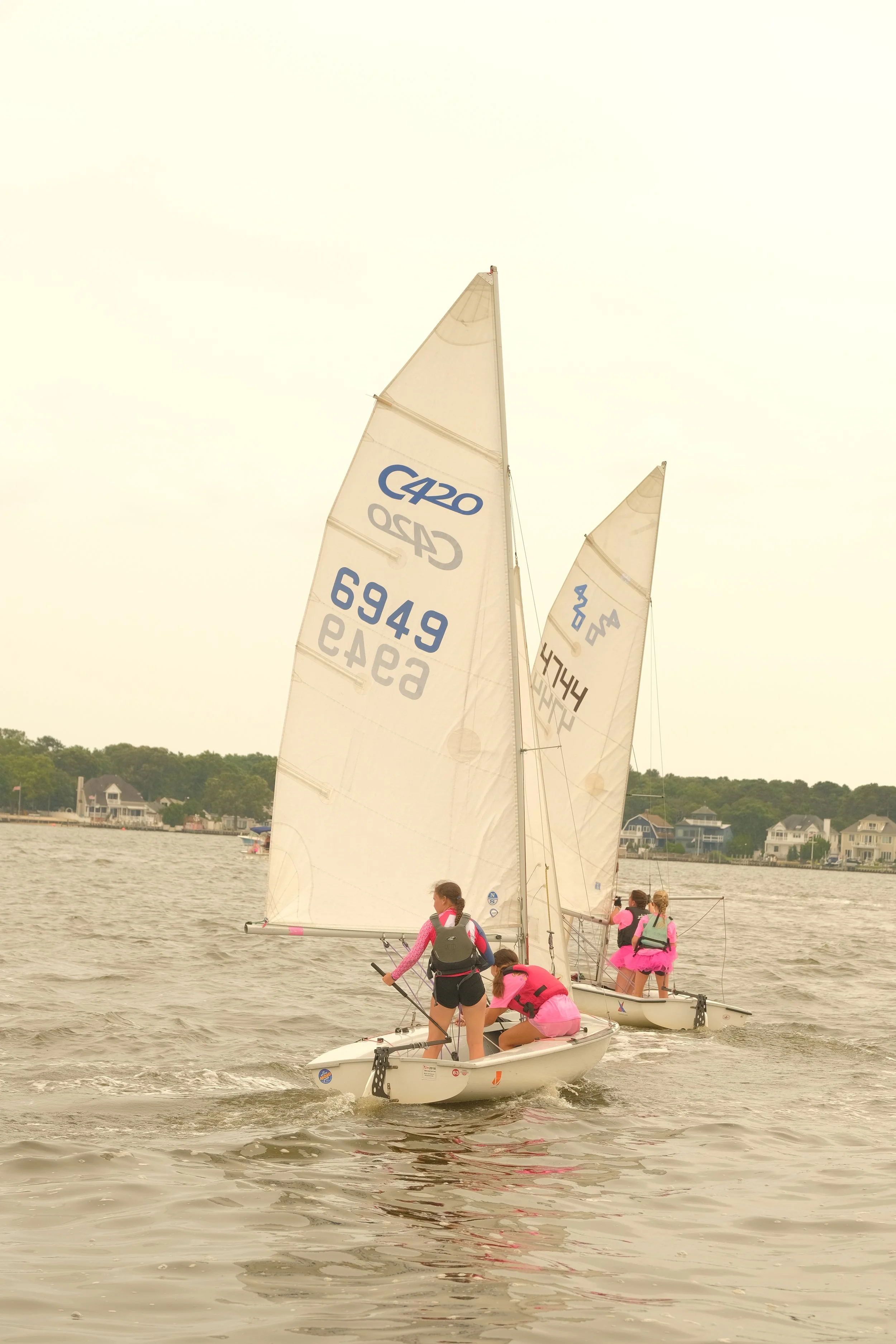 DSCF2447.JPG