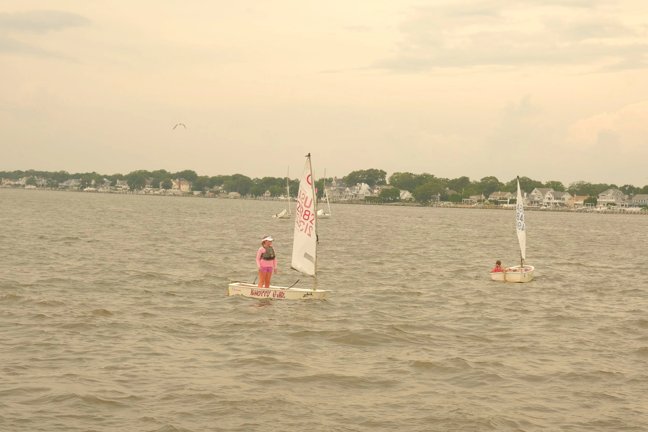 DSCF2617.JPG