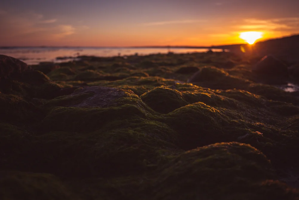 Rhode Island