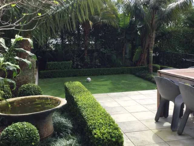 synthetic turf 3.JPG