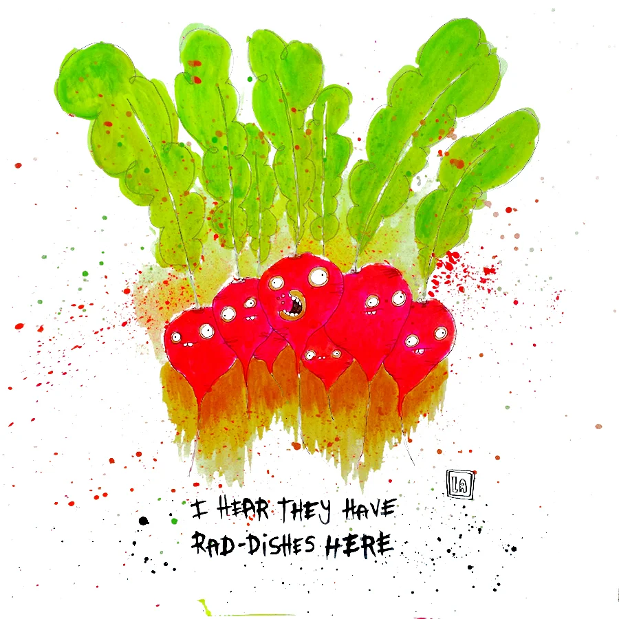 I Hear They Have Rad-Dishes Here, Watercolor on Paper, 20'' x 20''