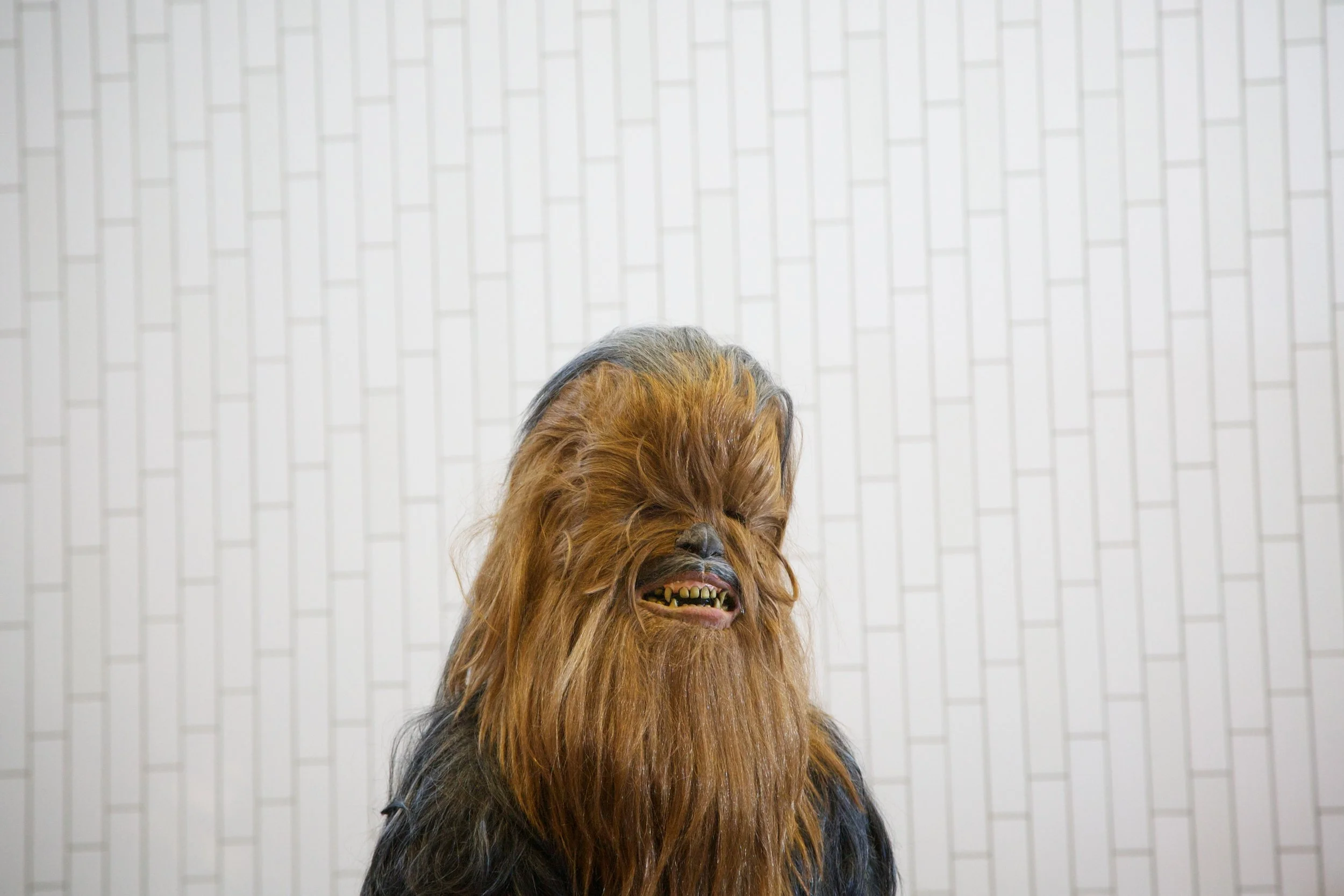 CANON_Canon EOS 5D_408449744-408453280781.JPG