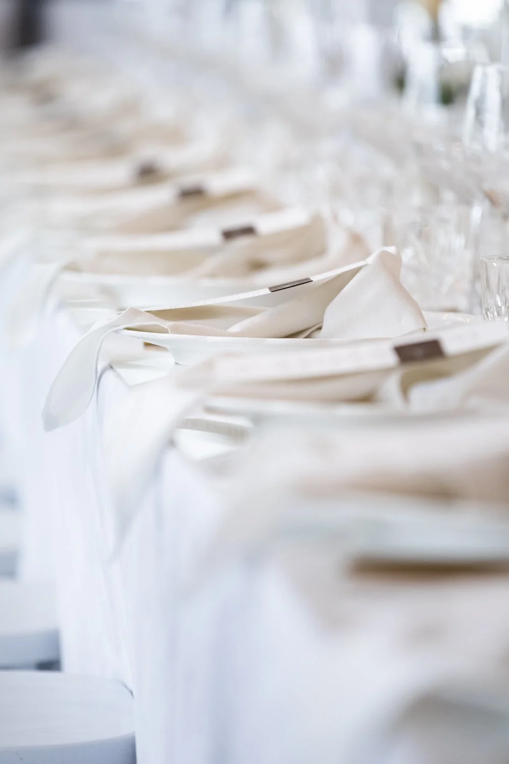 EMCPHOTO C&C 8.2.25 LR 089.JPG