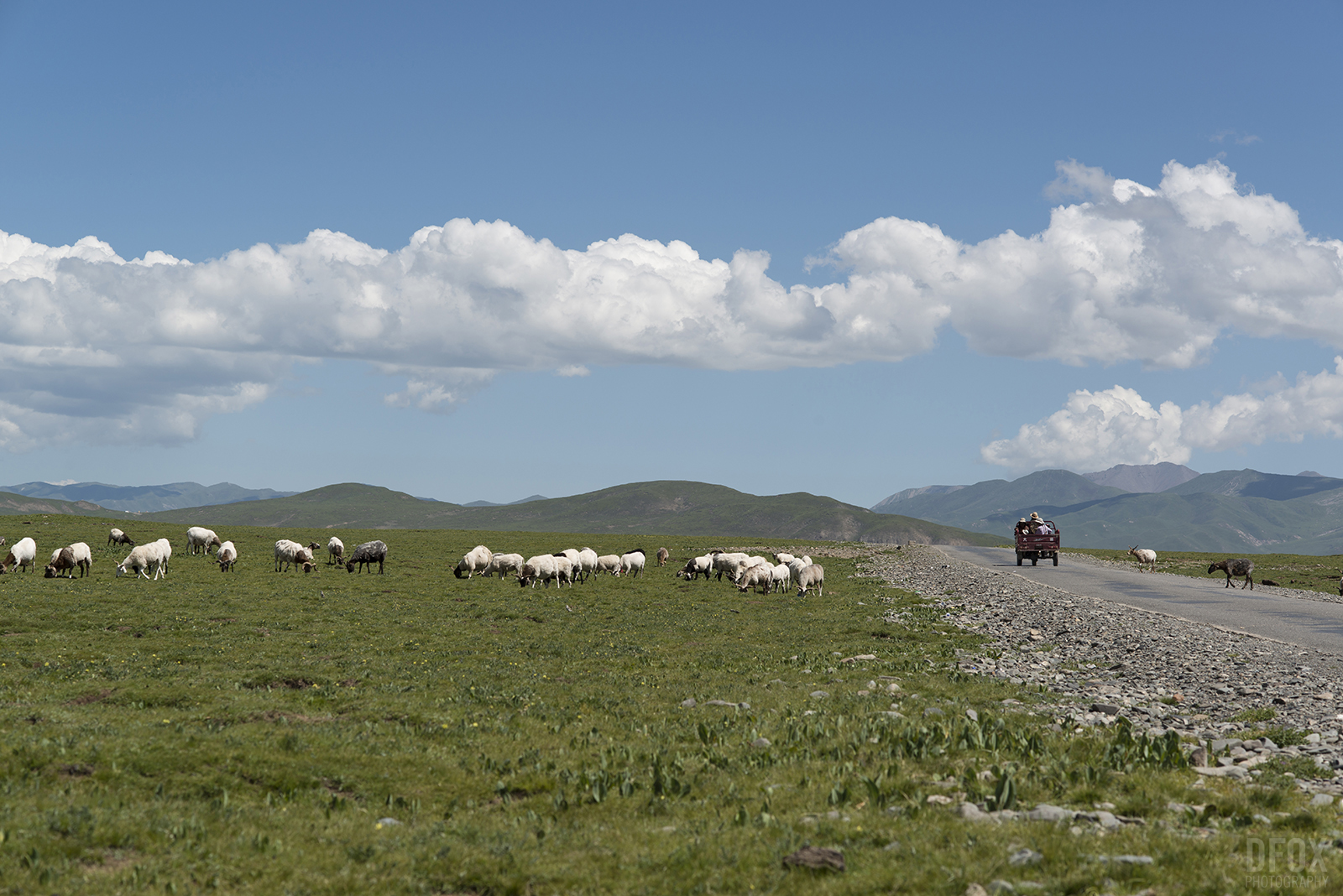 06_Qinghai_s.jpg