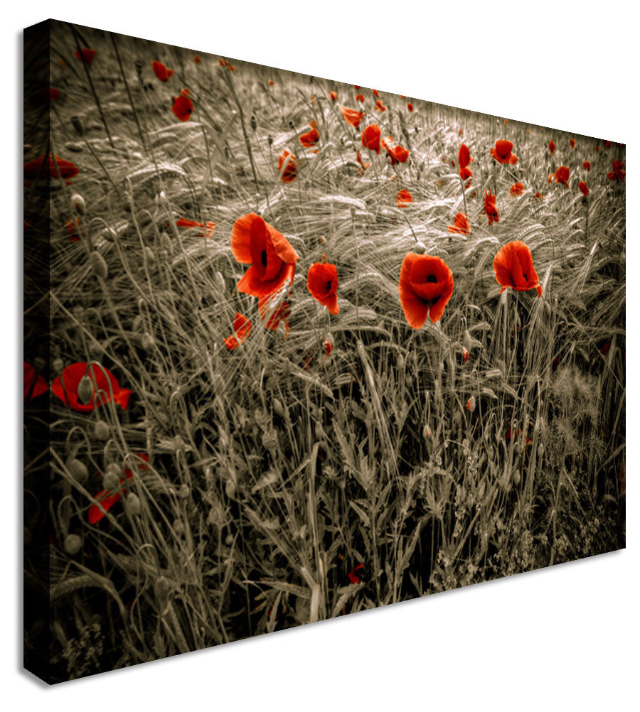 LARGE RED POPPIES FLORAL.JPG