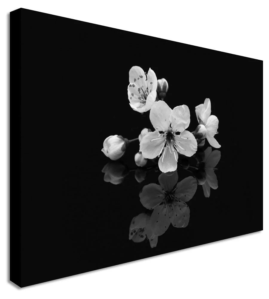Reflecting Orchids On Black Flowers Black and White.JPG