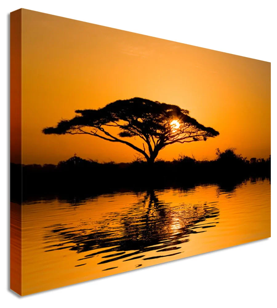 SUNSE 0019_r_r.jpg