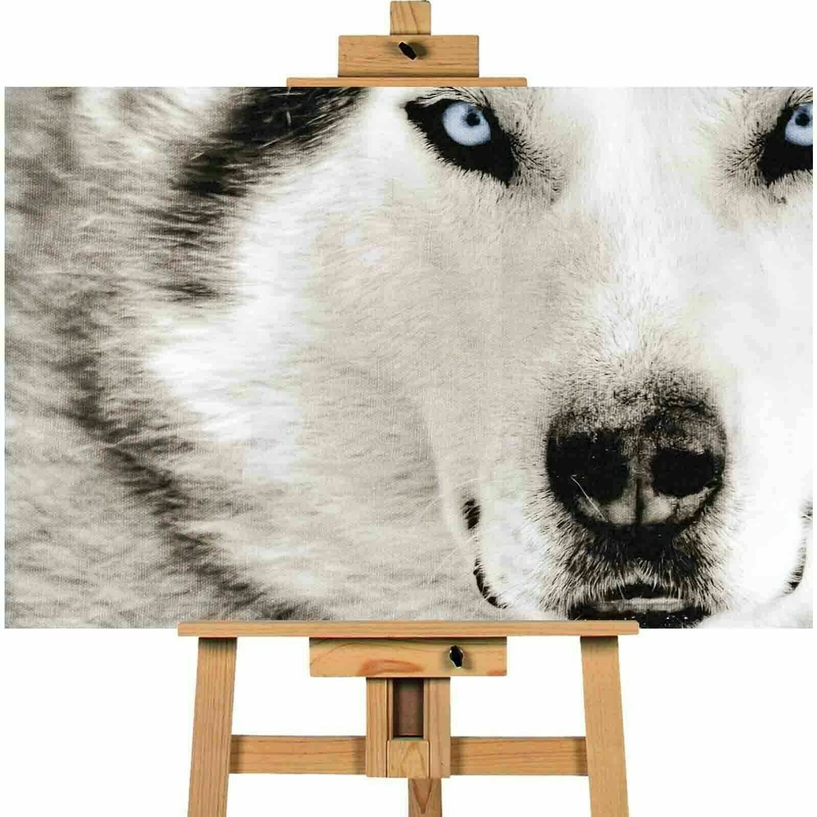 Blue Eyed Wolf Husky Contemporary Canvas Print Wall Art