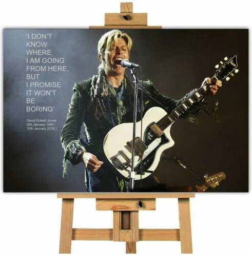 David Bowie Tribute Canvas Wall Art Print Canvas Town