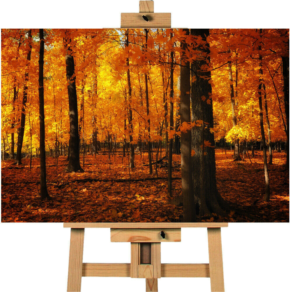 ORANGE FOREST Forrest Canvas Canvas Print Wall Art