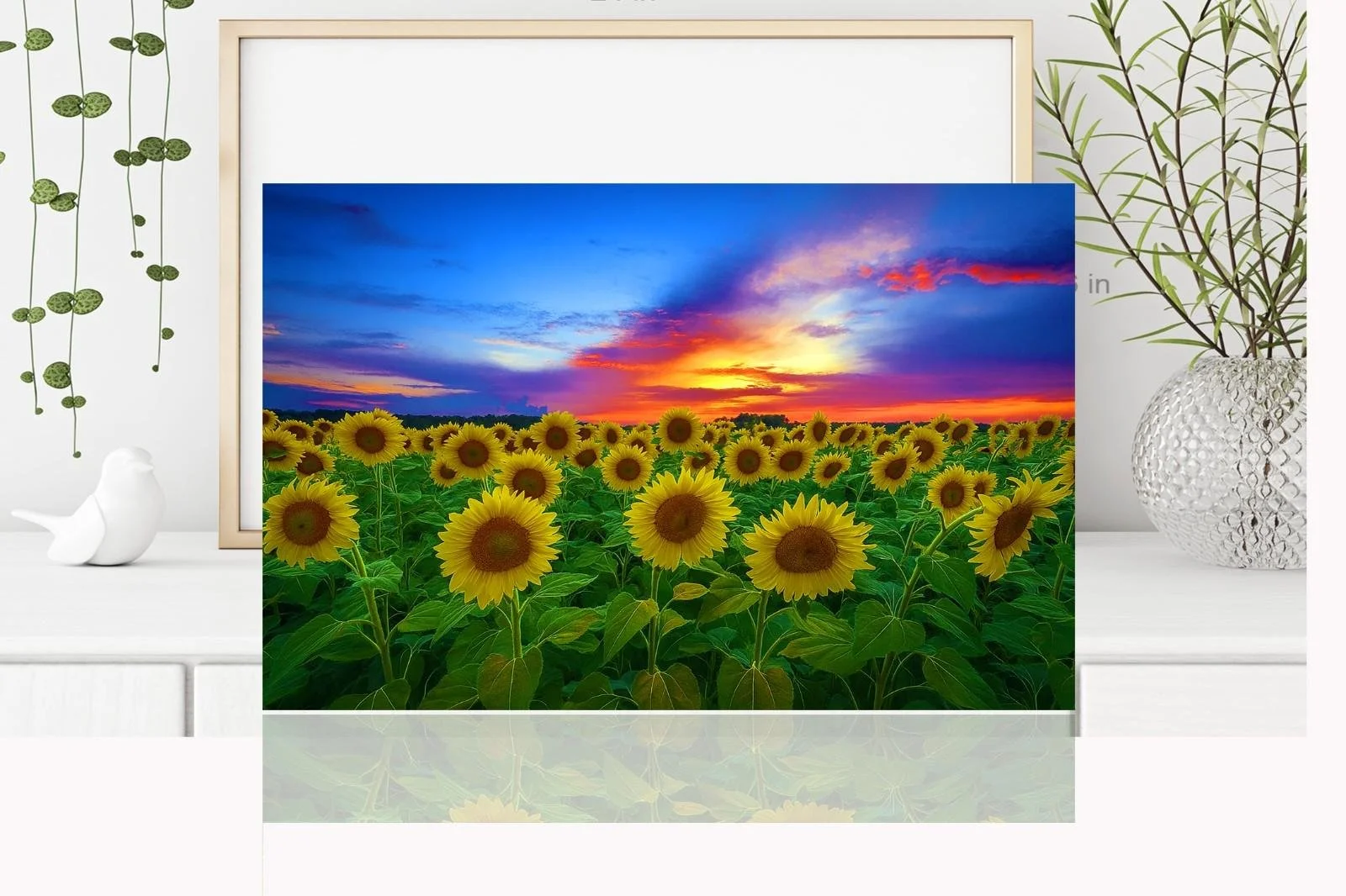 https://i.etsystatic.com/28829951/r/il/4c9bd5/7149613397/il_fullxfull.7149613397_k3is.jpg