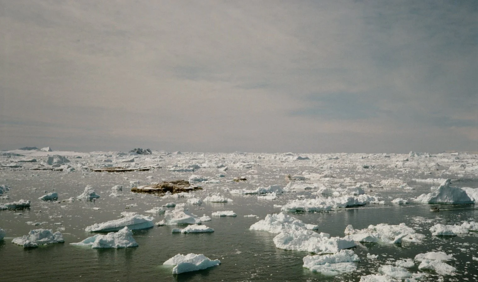 GOOGLE DEEPMIND - Freddie Paxton @ Academy Films