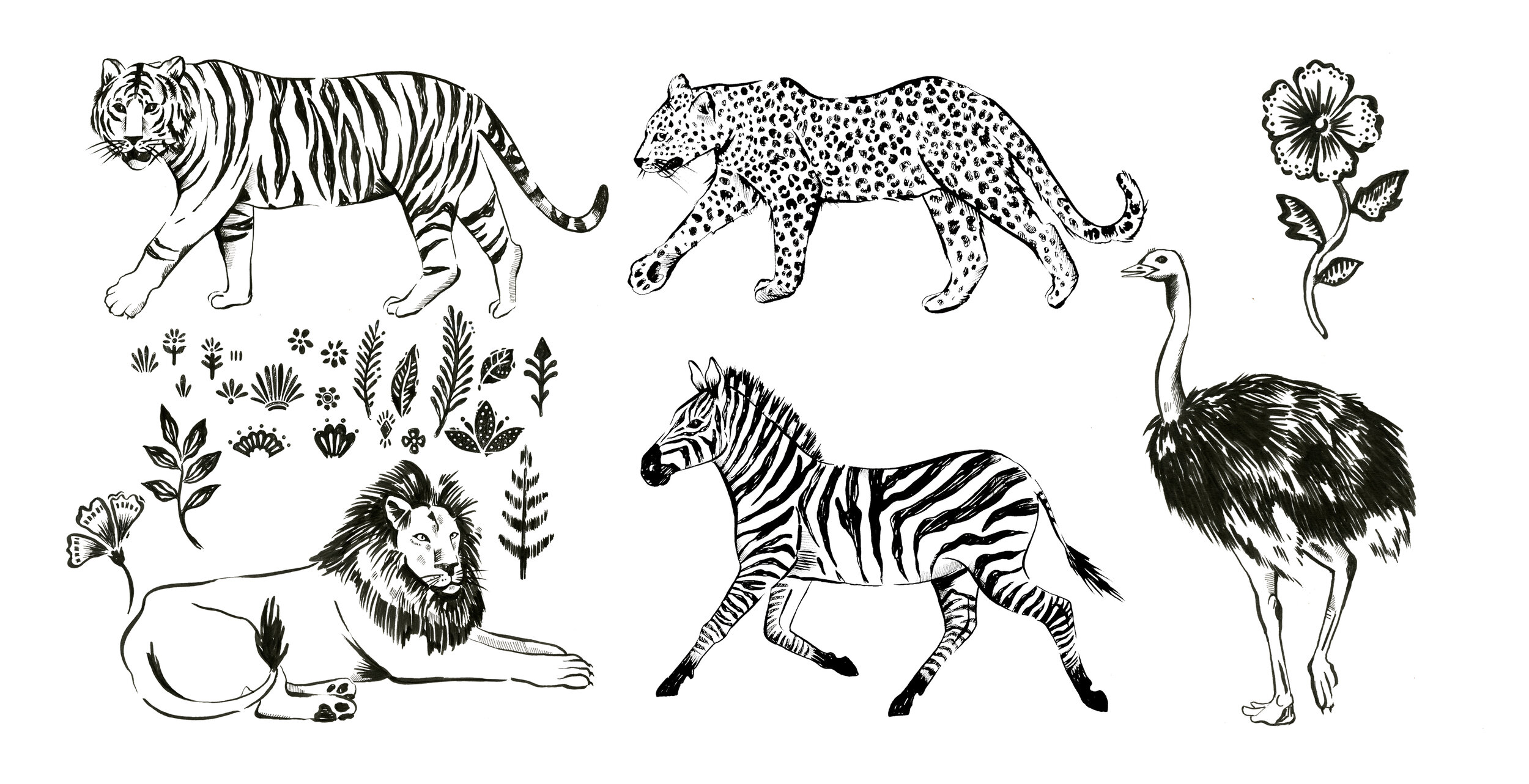 JUNGLE ANIMALS.jpg