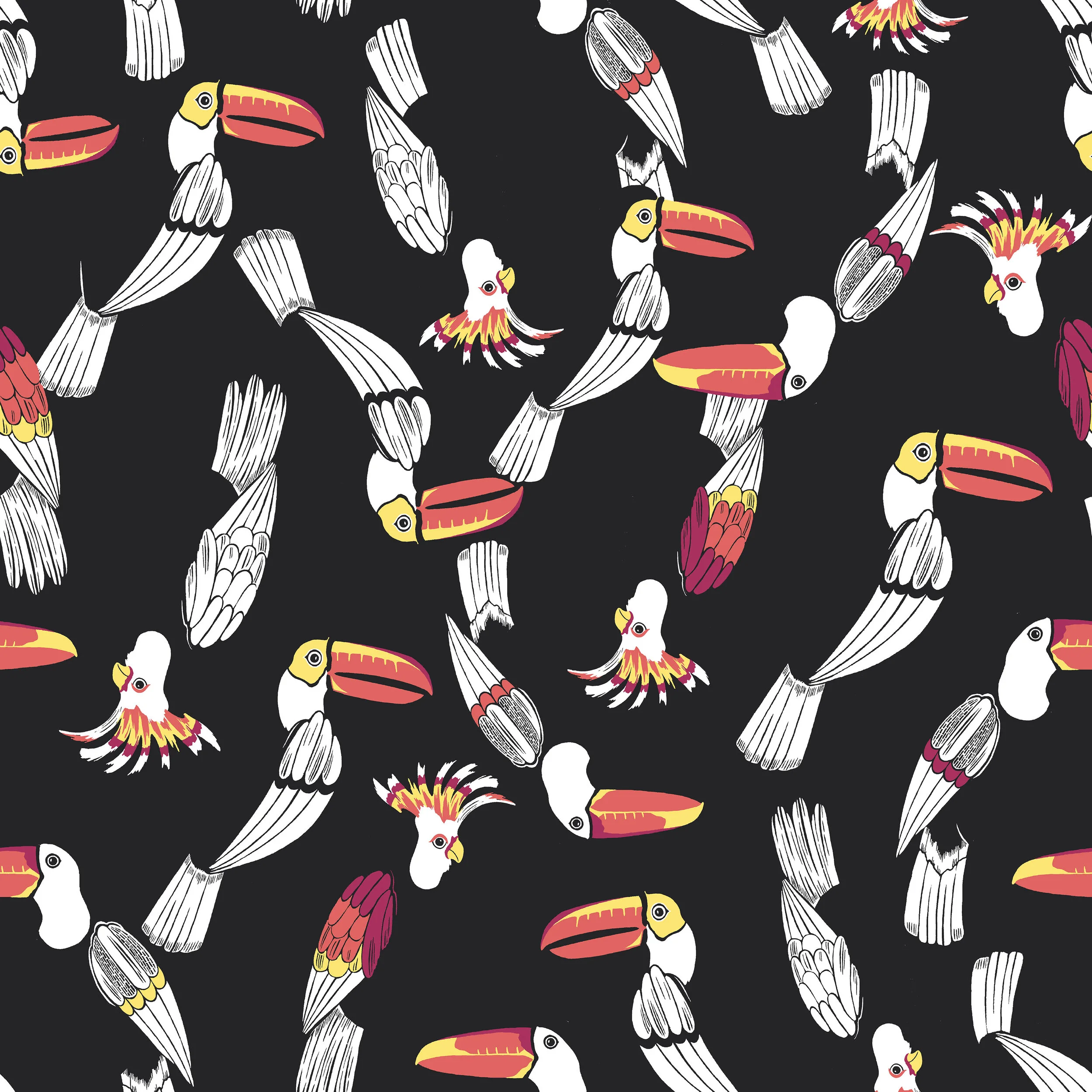 TOUCAN CC 03_JPG.jpg