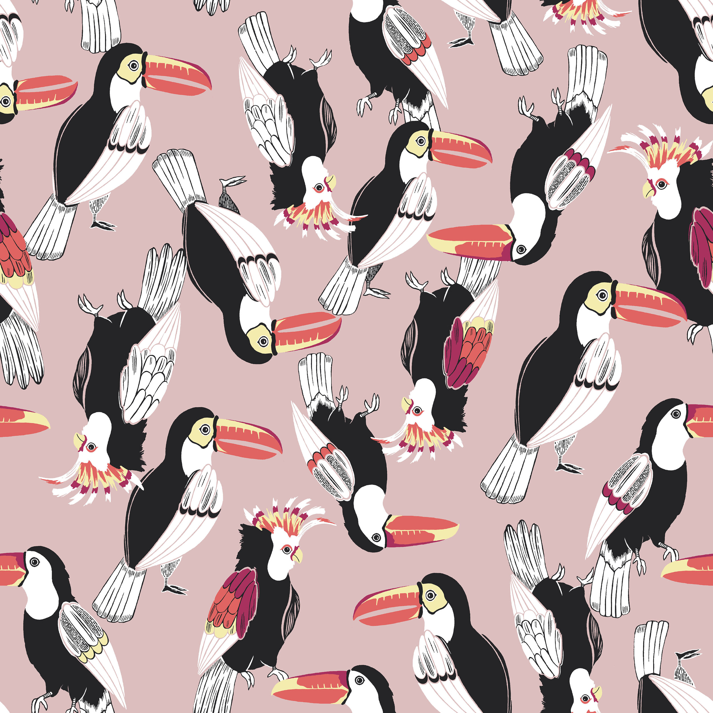 TOUCAN CC 04_JPG.jpg