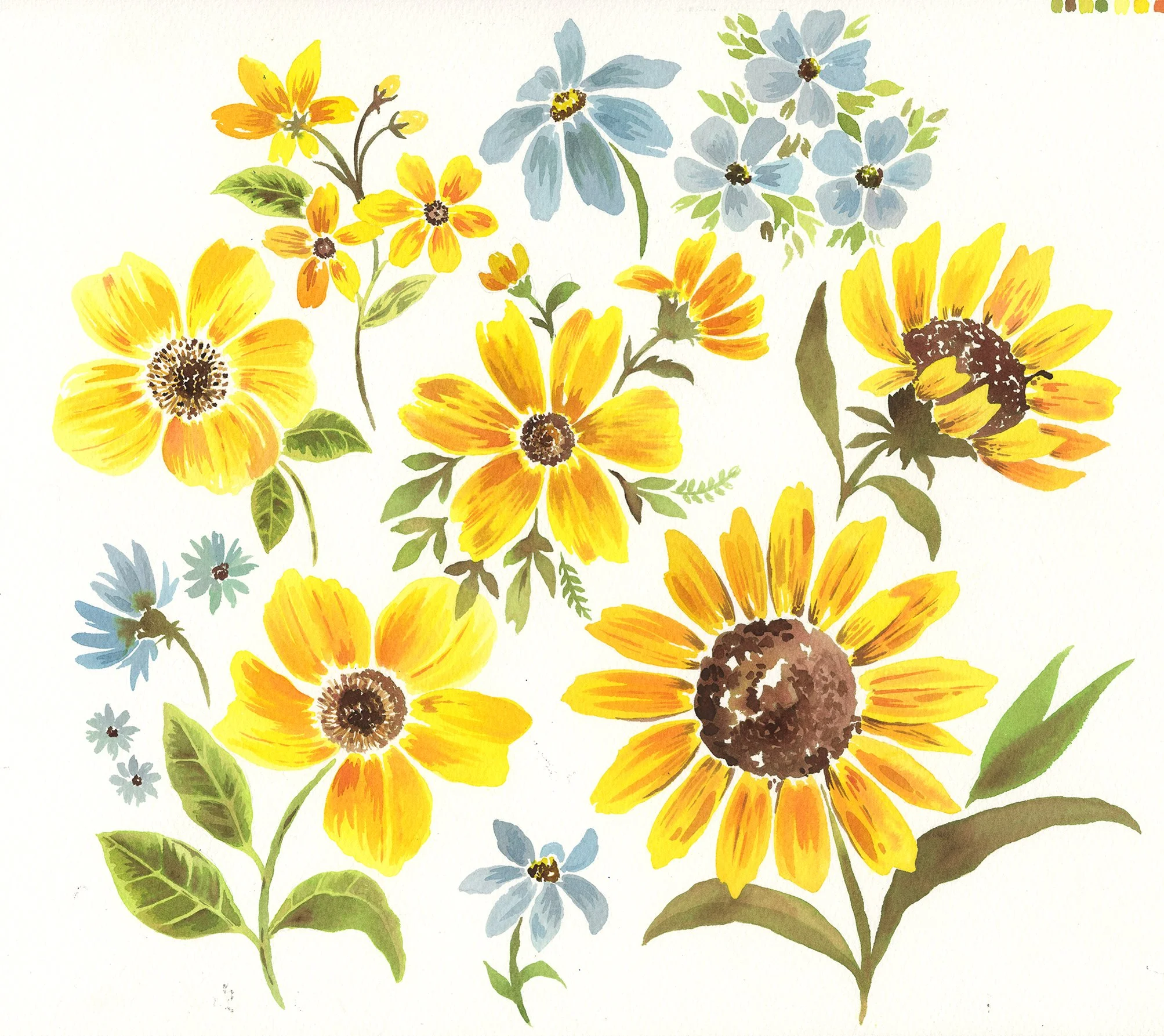 sunflower website brighter.jpg
