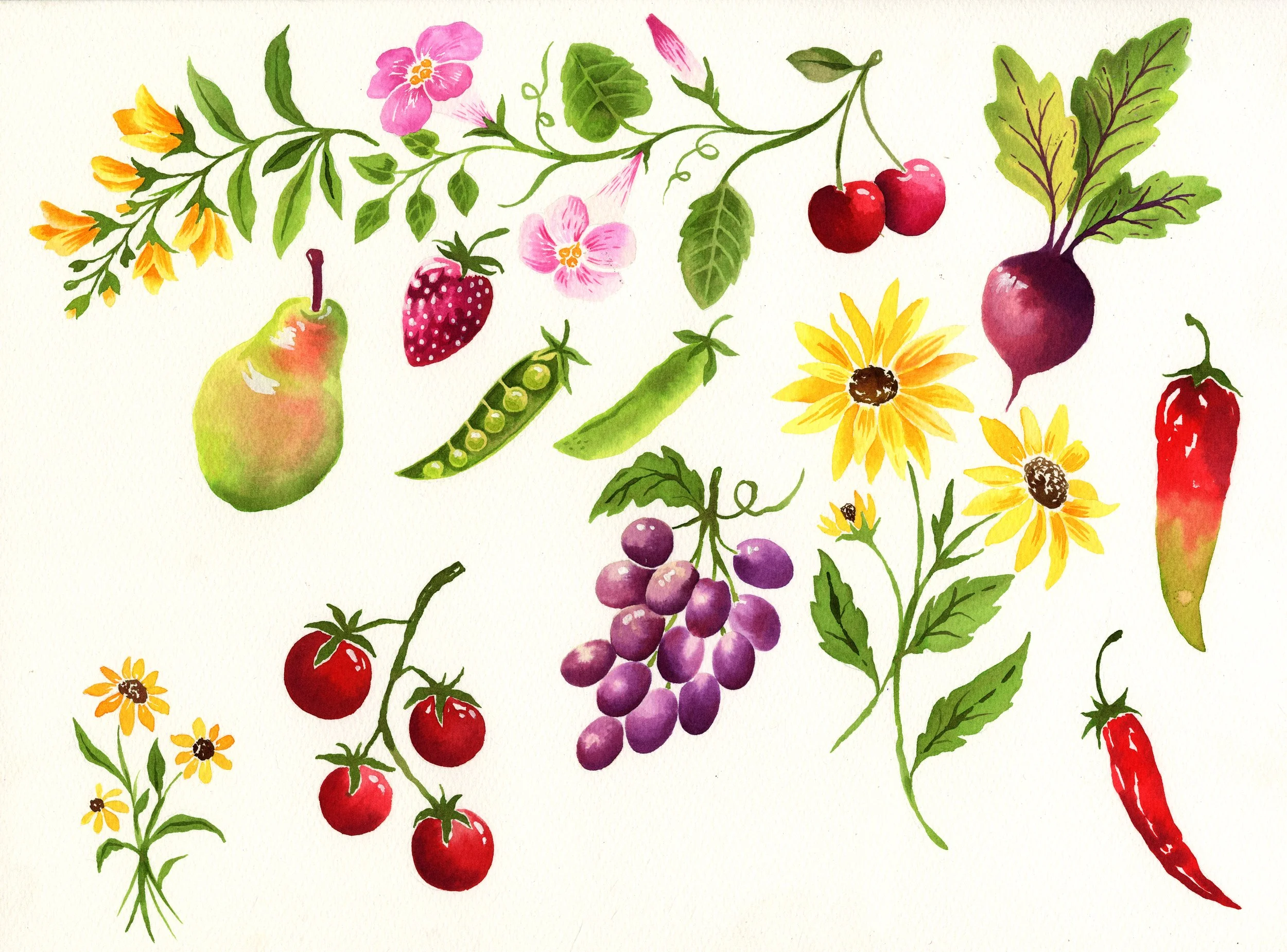 fruits copy bright.jpg