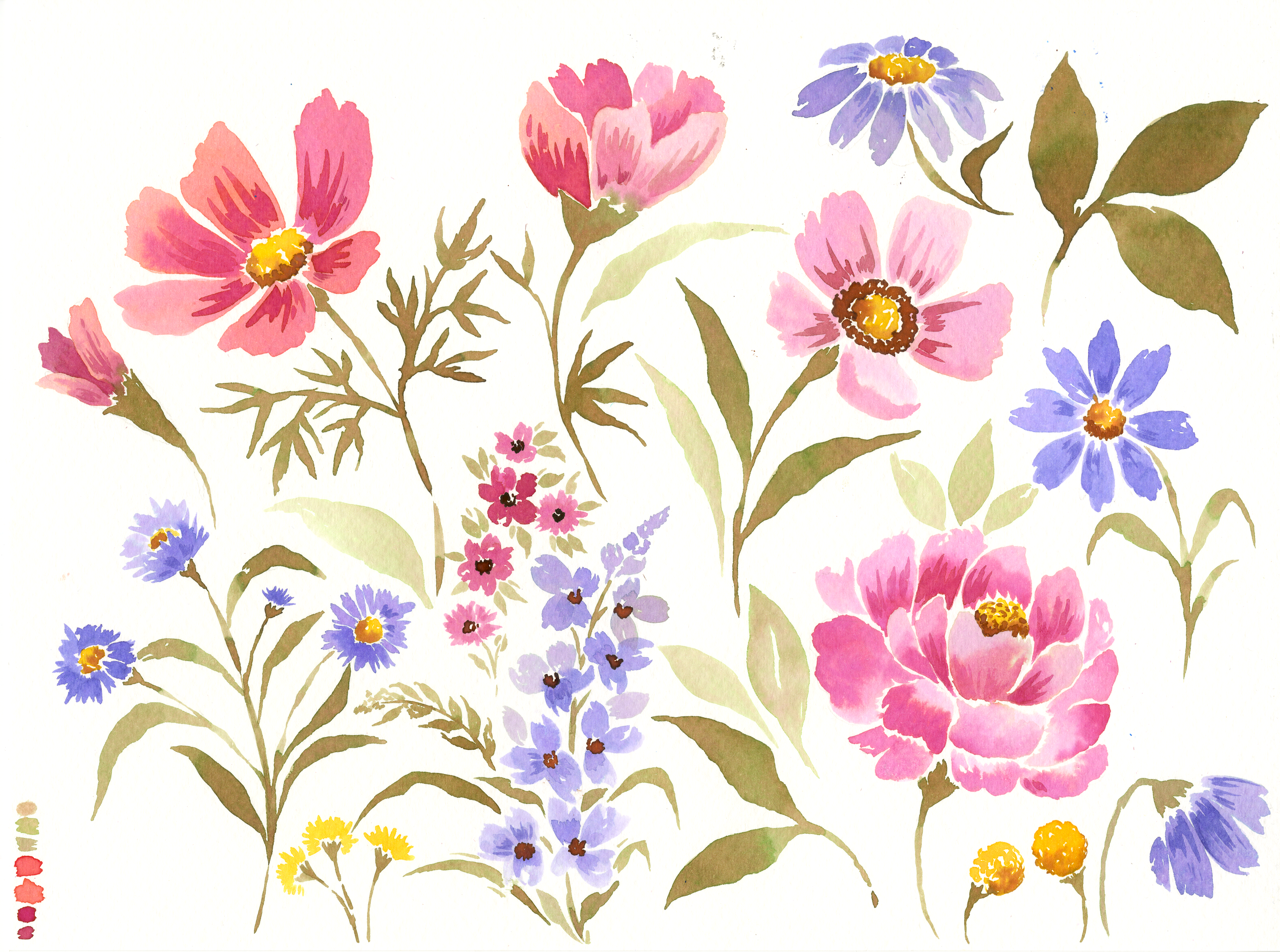 WILDFLOWER WEBSITE.png