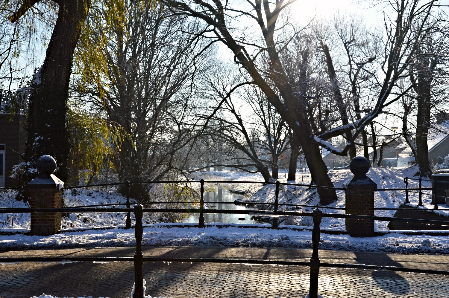 DSC_0094.JPG