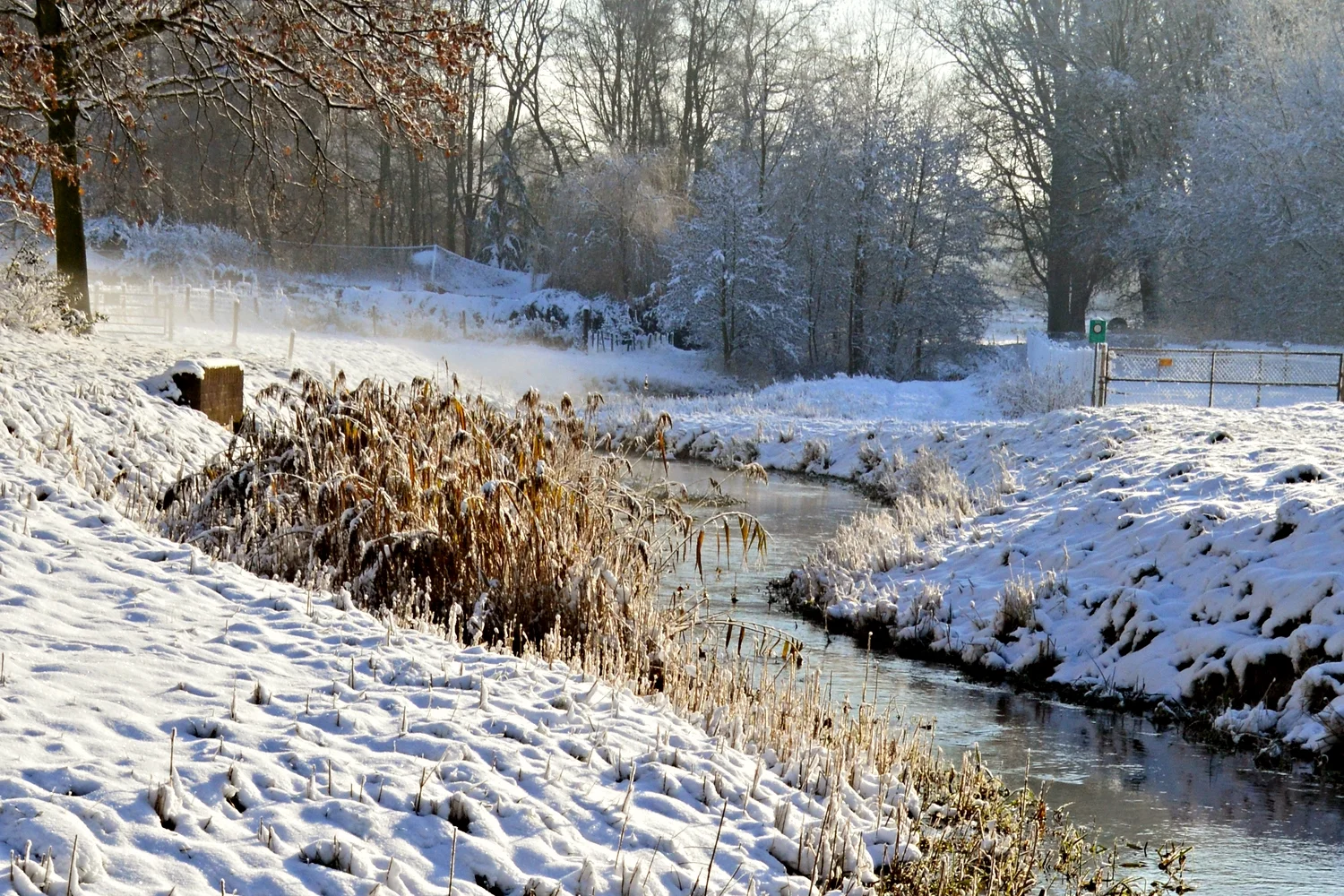 Amsterdamse gracht in zwart-wit