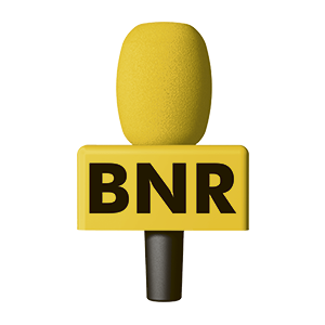 Interview+8+november+2018+BNR+Nieuwsradio+Mauritz+Kop+Royalties+overleden+artiesten+Elvis.png