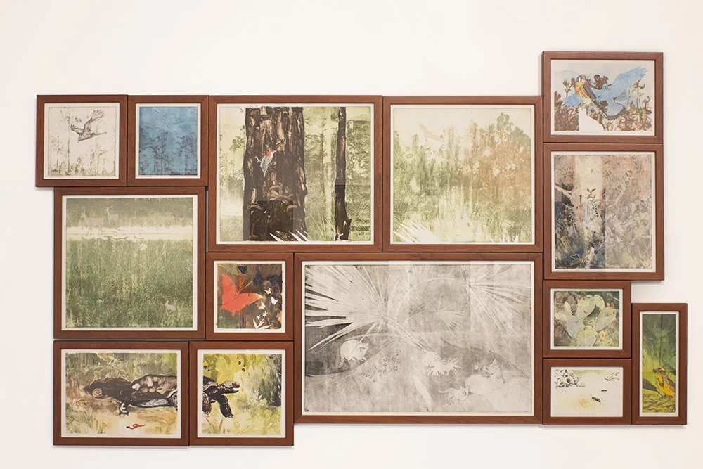 Pine Rockland Series