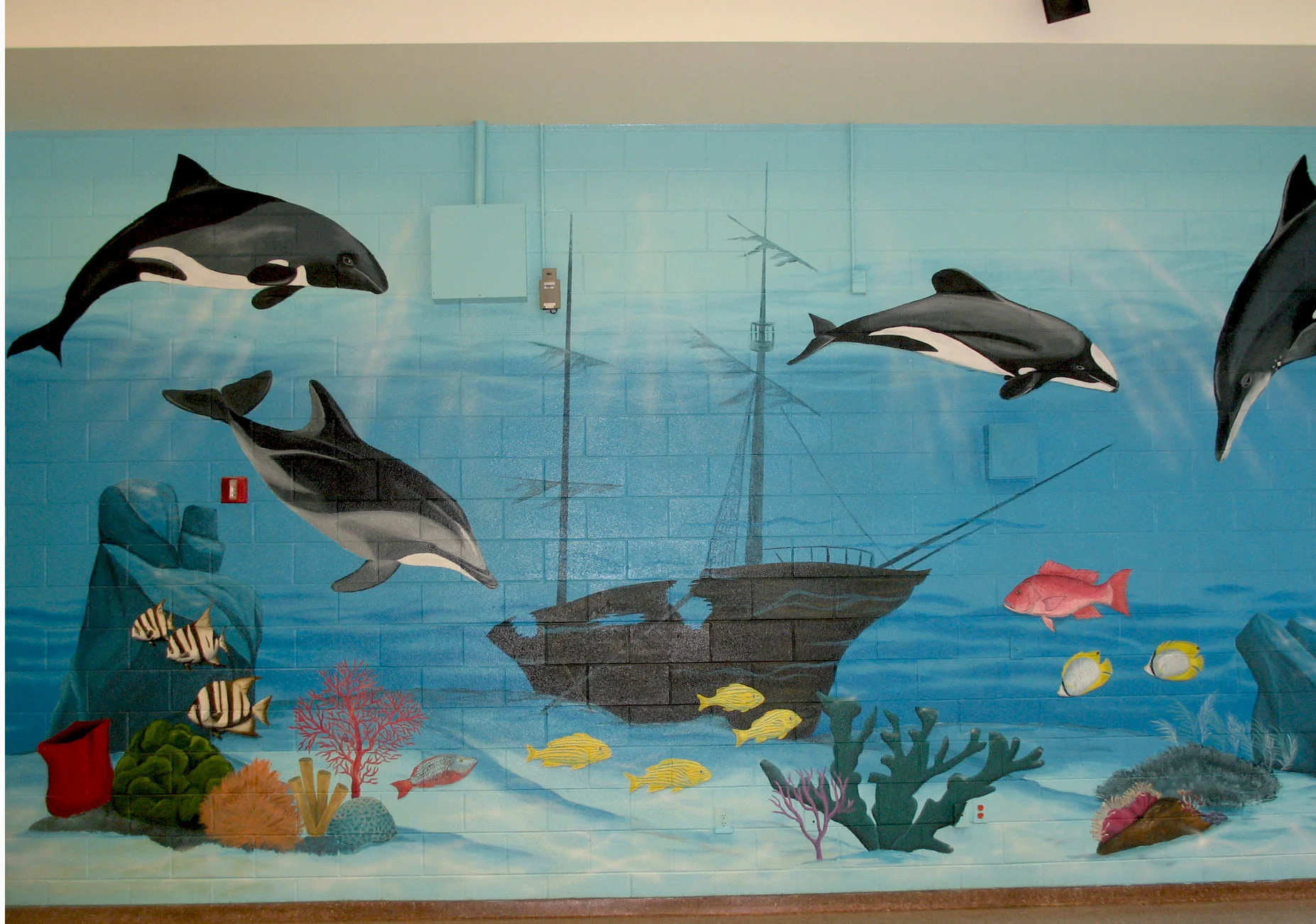 dolphin paradisw mural.jpg