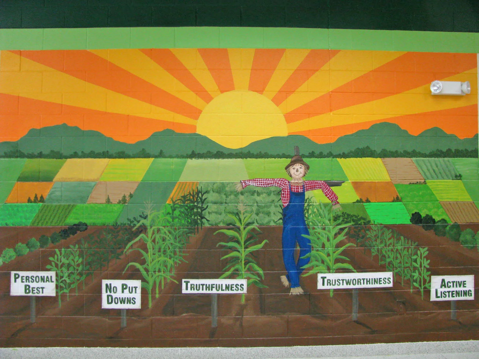 garden.jpg