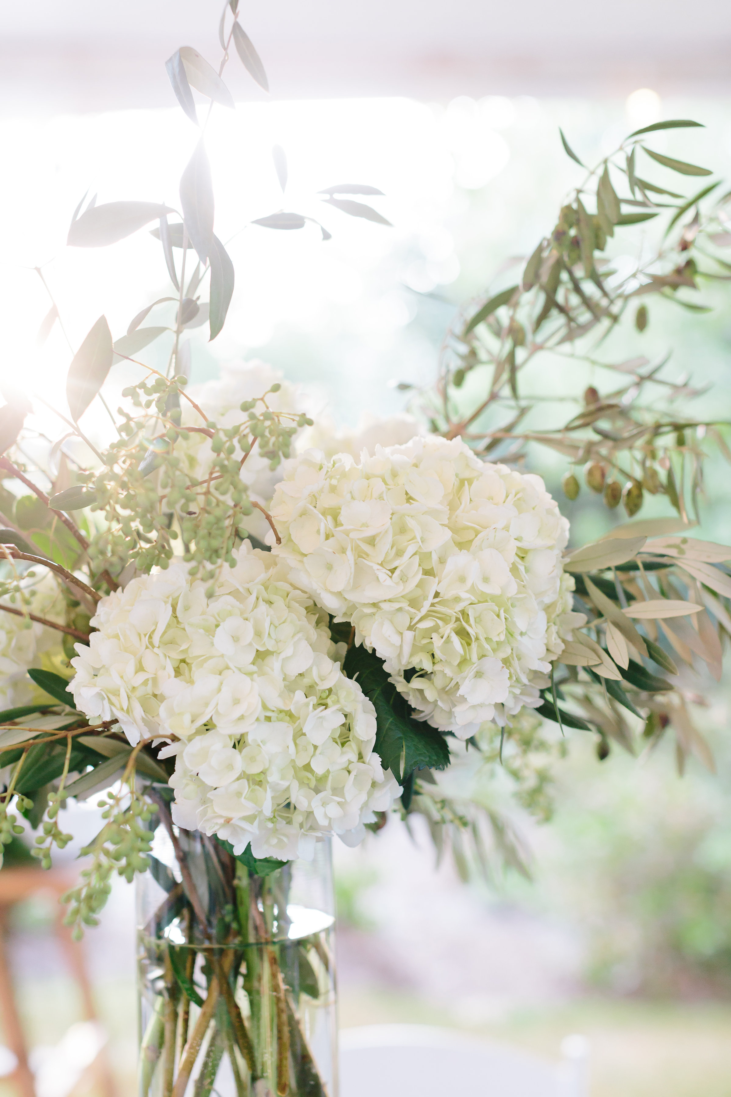 Photo by Lauren Carnes Photography