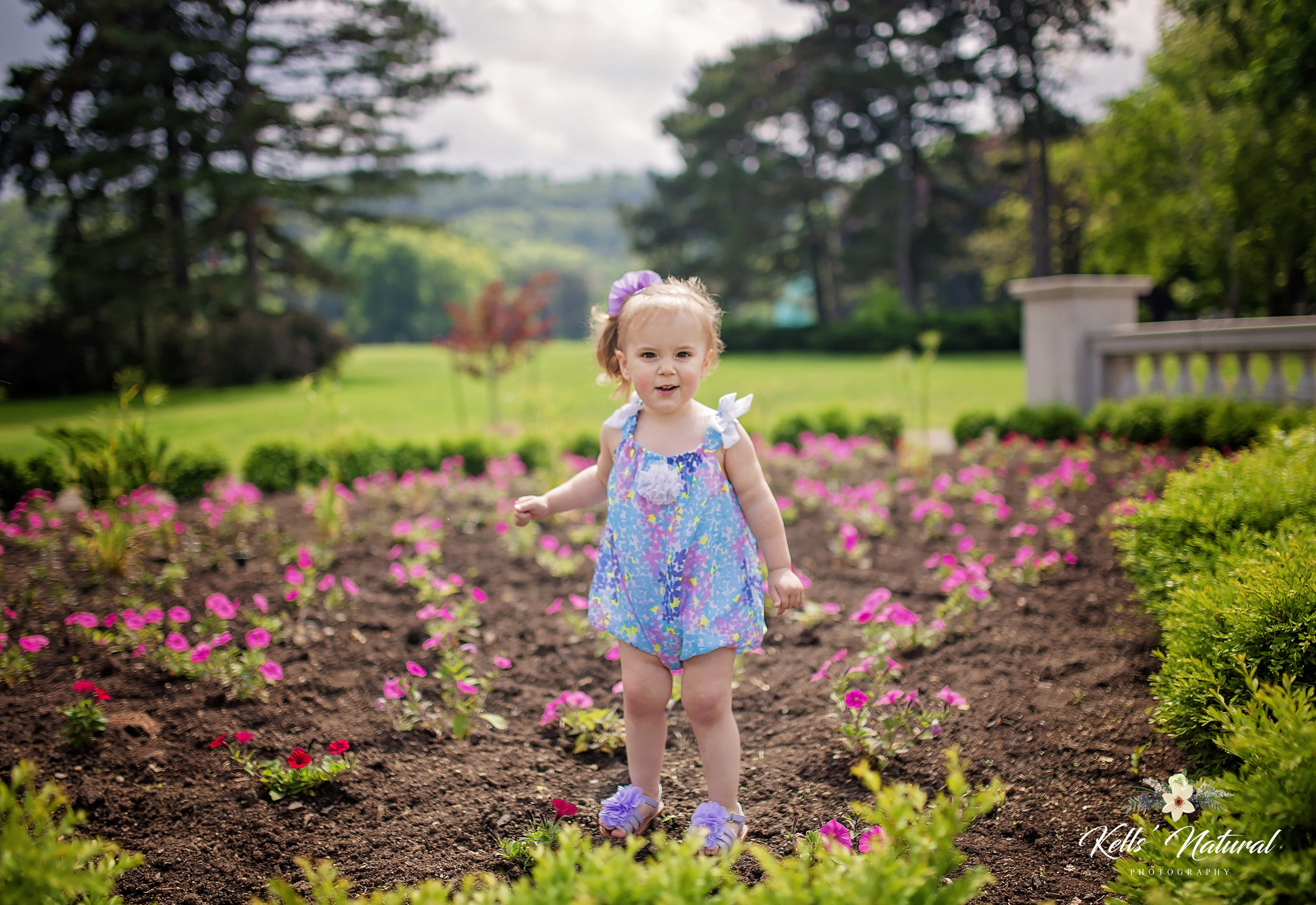 Gage Park Spring Photos.jpeg