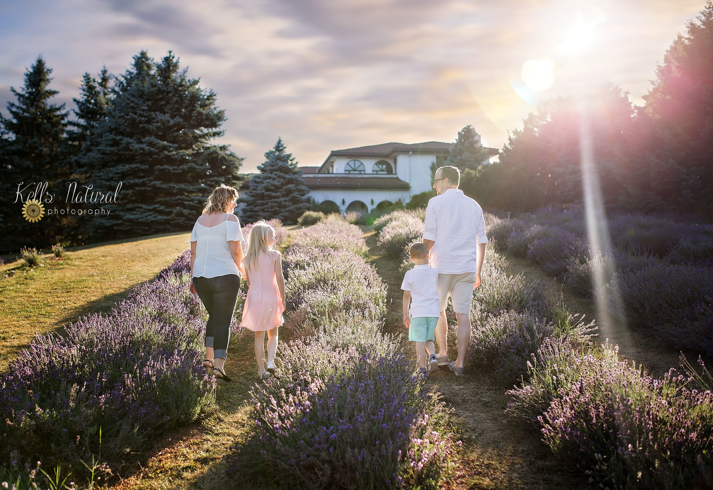 Hamilton Lavender Farm Photo Ideas.jpeg