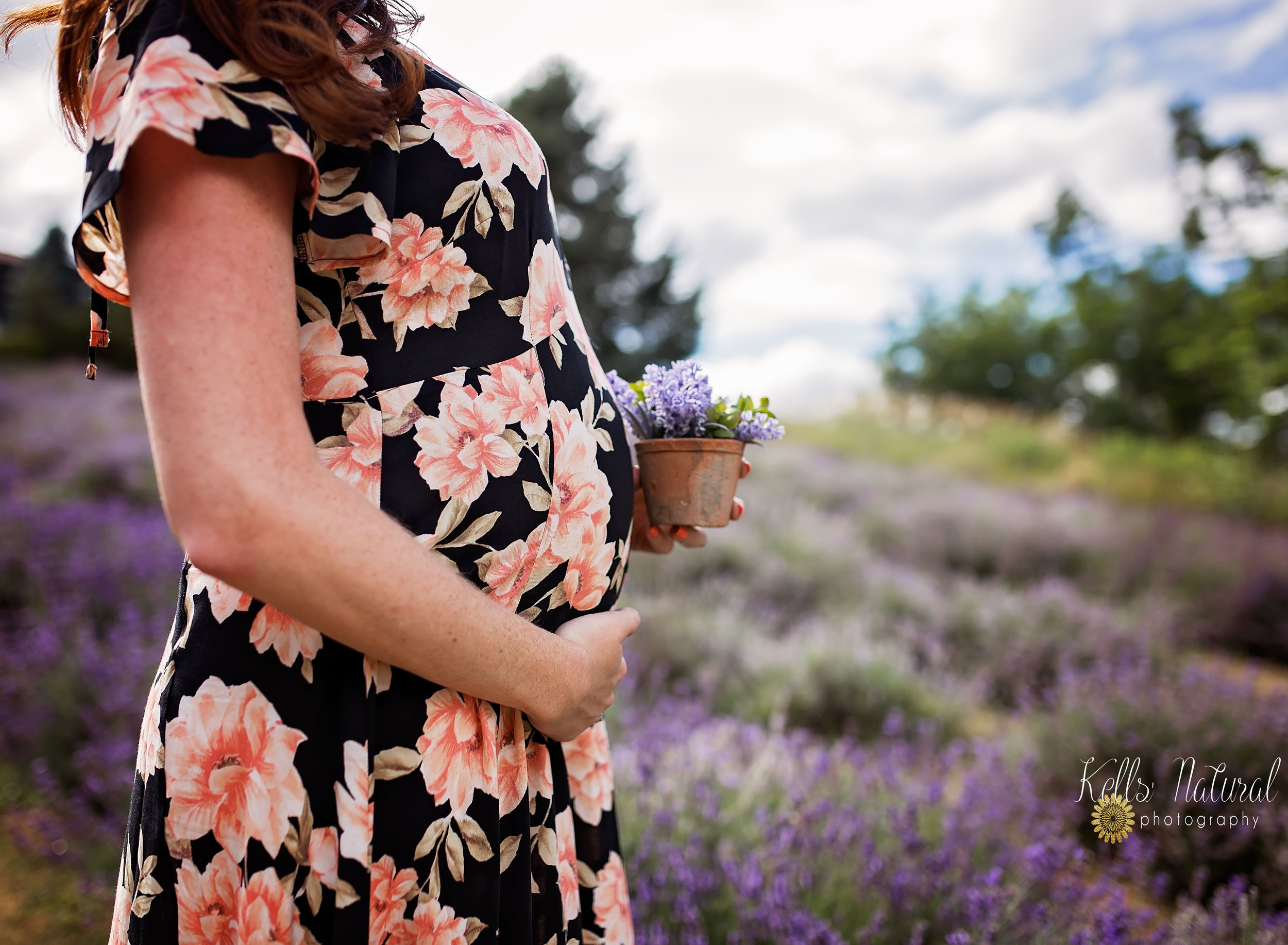 Maternity Portraits in Weir's Lavender Fields.jpeg