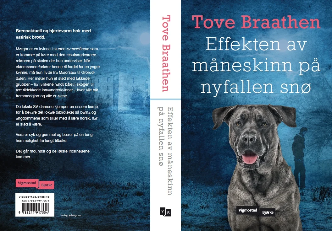 Skjermbilde 2018-08-13 kl. 12.37.01.jpg