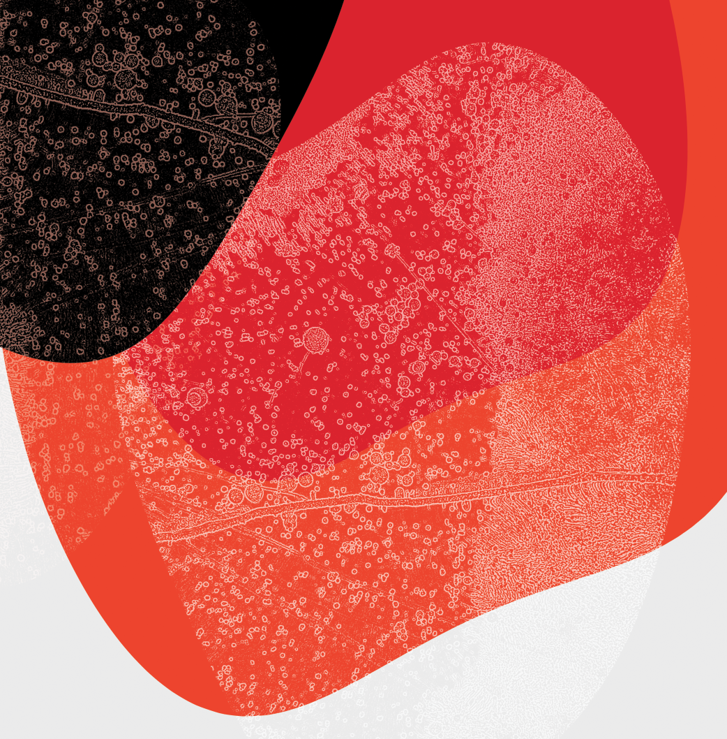 Skjermbilde 2019-05-27 kl. 16.53.49.png