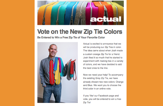 ZipTieNewsletter_FOR_WEB01.jpg