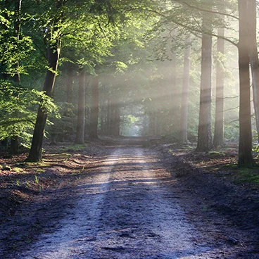 Copy of PERSONAL JOURNEY AND PURPOSE
