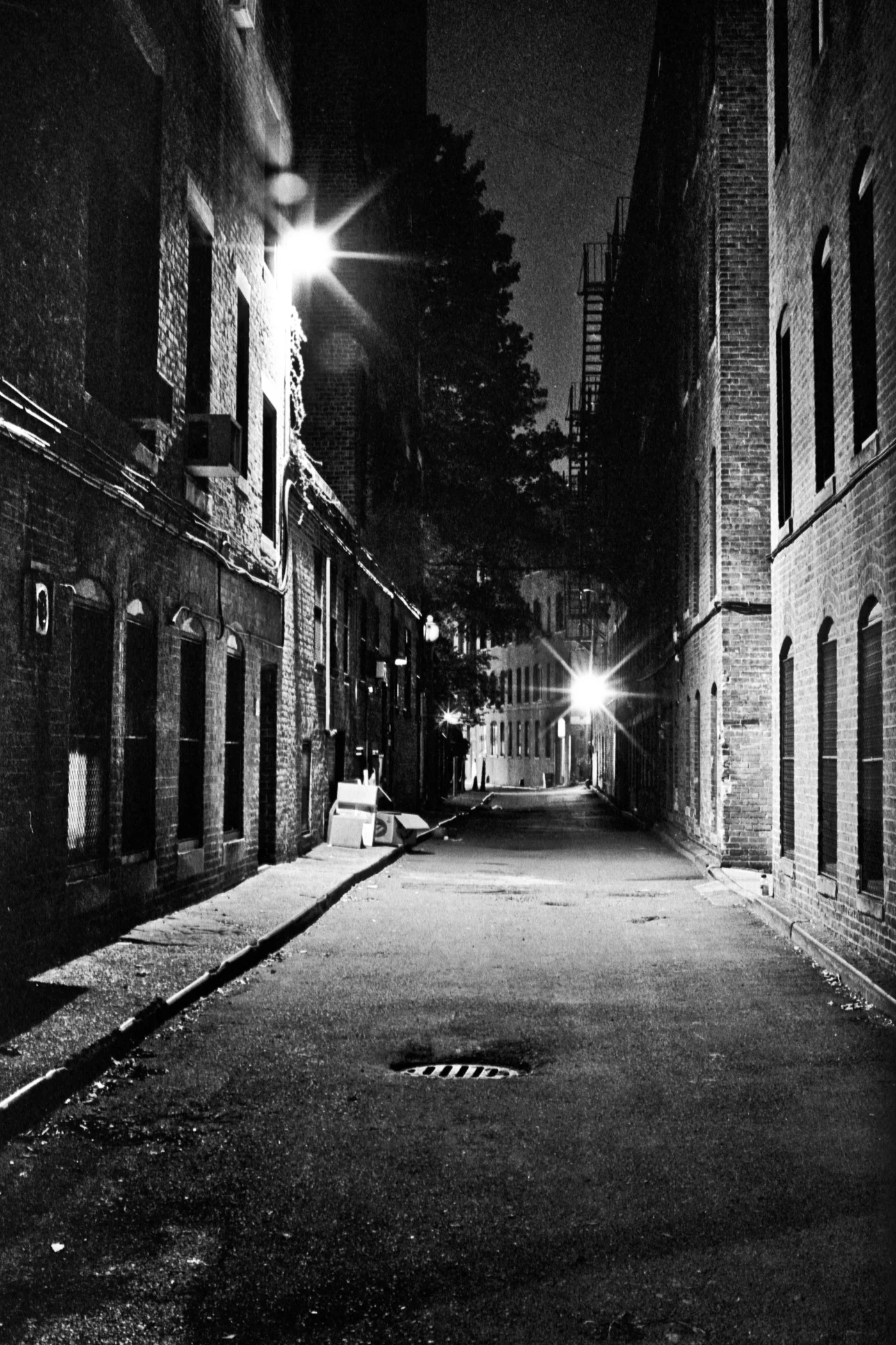 Northeastern Ally, 2001