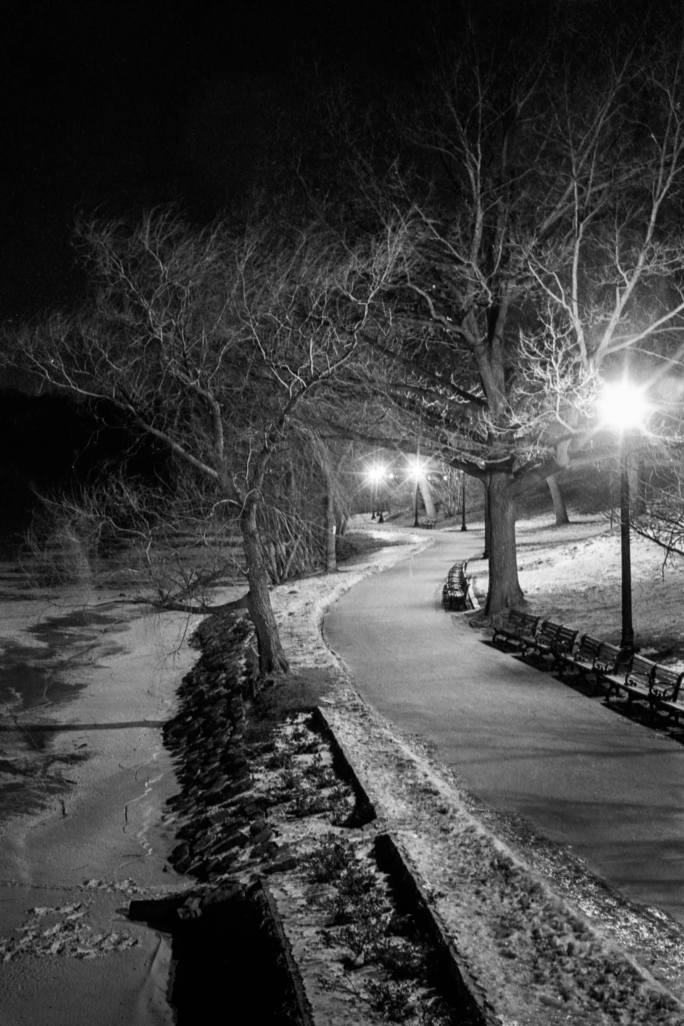 Jamaica Pond, 2003