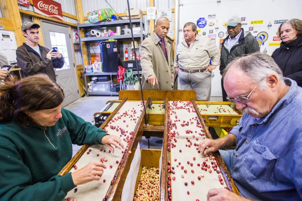 P&J Cranberries Visit