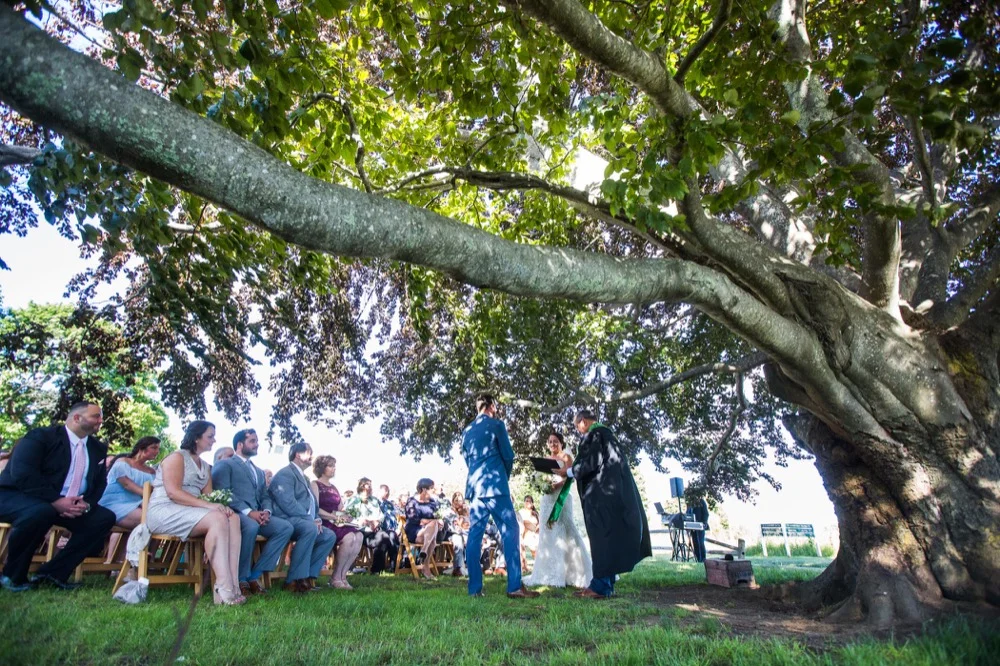 Mary-Leah & Brian's Wedding